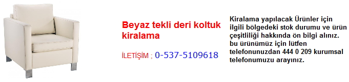 beyaz tekli deri koltuk kiralama