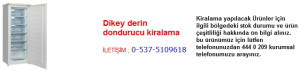 dikey derin dondurucu kiralama