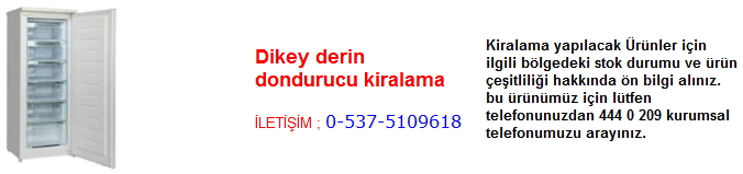dikey derin dondurucu kiralama