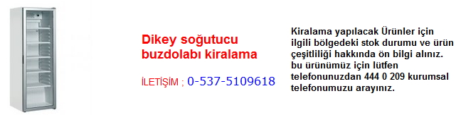 dikey soğutucu buzdolabı kiralama